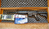 5554 Smith &Wesson Sport II AR