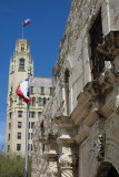 Alamo