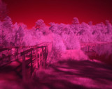 03a - piers IR red - IMG_1534.JPG - 800 wide.jpg