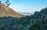 Madera Canyon View