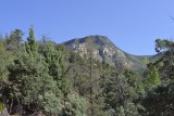 Wilson Canyon Trail