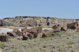 Carol among Petrified Tree Remains