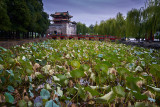 The Summer Palace in Beijing, an imperial garden from the Qing Dynasty