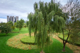 Olympic site