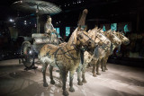 Terracotta Warriors
