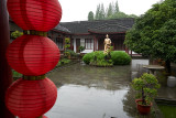 Tea plantation