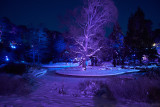 _7R30296.jpg