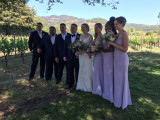 Sawka-Anthony wedding: Newlyweds posing with best men and bridesmaids