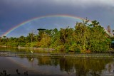 Rainbow over a rookery in central Florida
