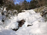 Cloudland  Falls