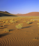 Planet Namibia