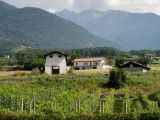 20160910_021321 The Houses Above the Vines (Sat 10 Sep, 11:45)