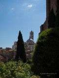 20160823_015490 The Duomo, The Tower Of The Duomo, And Reflections On Siena