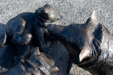 121210_171631_25112 Bronzed Cuteness (Mon 10 Dec 12)