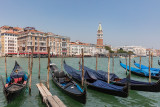 2018 Venice-_G1A4968.jpg