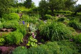 Driveway Garden