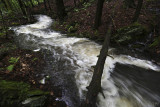 Flooding Freshet