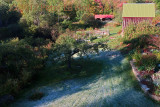 Frosty Morning in Vermont