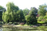 Le jardin japonais