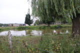 Saint-Clair-dArcey petit village  dans la campagne normande