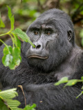 Uganda 2018
