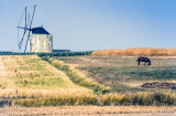 Windmill with Horse
