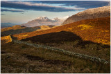View from Llyn Gamallt