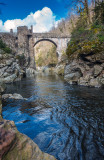DSC00991.jpg