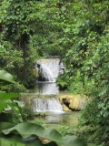 IMG_3137.jpg