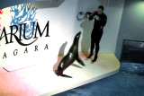 Niagara Aquarium