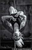 bex_crow_002.jpg