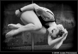 bex_crow_007.jpg