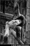 bex_crow_009.jpg