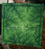 Abundance2 16x16, Sale $125