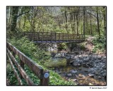 The Birks Of Aberfeldy