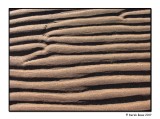 Pattern In The Sand