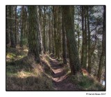Riverside Path