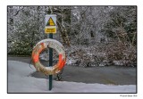 Wintry Showers