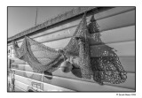 Hung Out To Dry