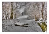 April Snow