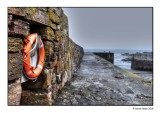 The Harbour Wall