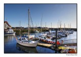 The Marina