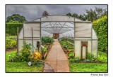 The Edible Garden Polytunnel