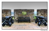 The Grand Battery