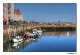 The Harbour