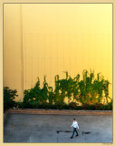 150 Walk