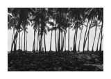Hawaii
