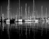 Ortega River BW 3.jpg