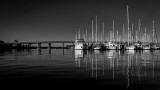 Ortega River BW 4.jpg