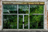 Garden Shop.jpg
